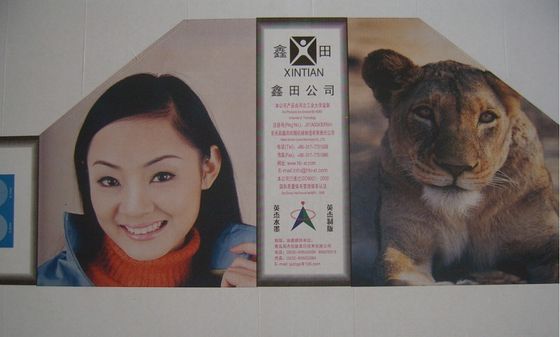 De Vouwende en Die-Cutting Machine van de golfkarton Handvlakte 5.5kw/7.5kw